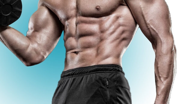 🏋️Tiritas para los músculos abdominales