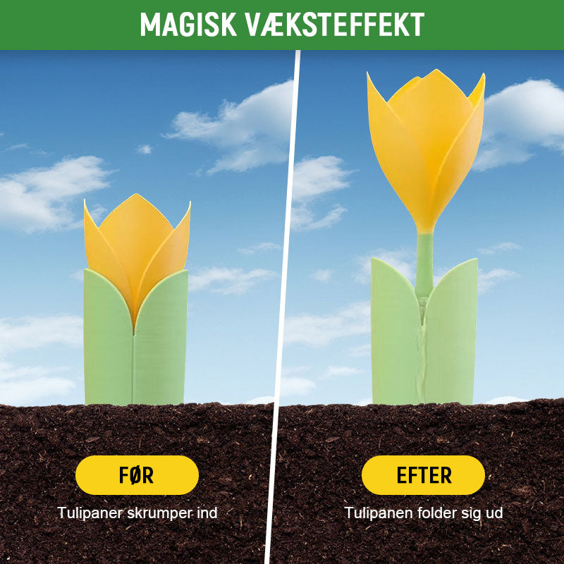 🌷Drypvanding til Tulipanplanter
