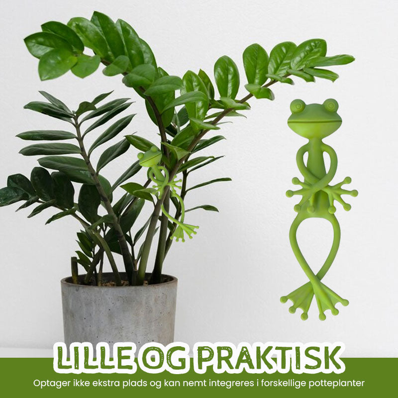Frøformet Plantestativ
