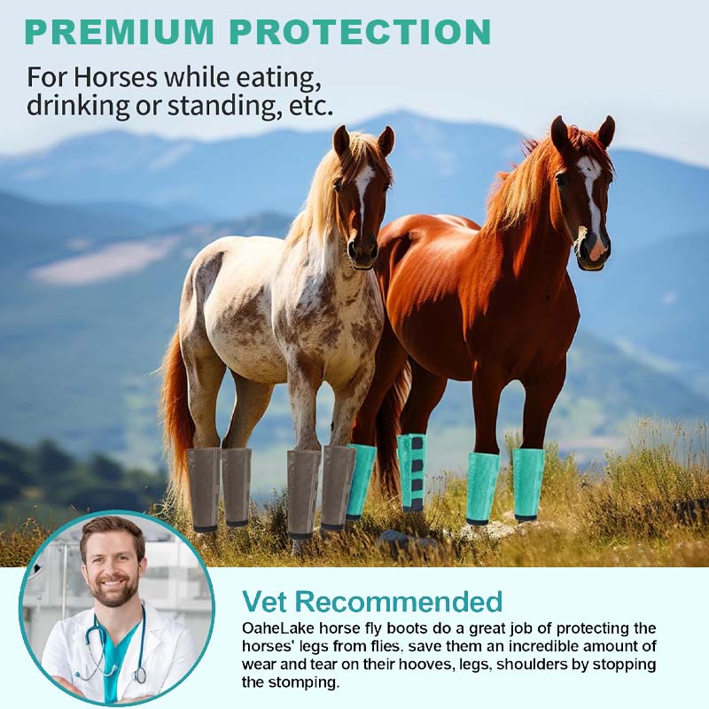 💎Envío gratis⏳Malla transpirable Horse Flyproof Leggings🐎✨