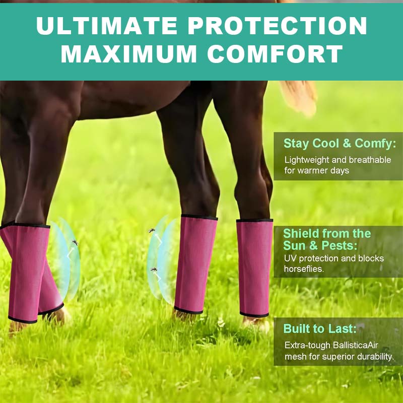 💎Envío gratis⏳Malla transpirable Horse Flyproof Leggings🐎✨