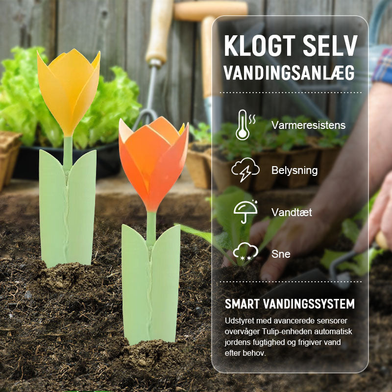 🌷Drypvanding til Tulipanplanter