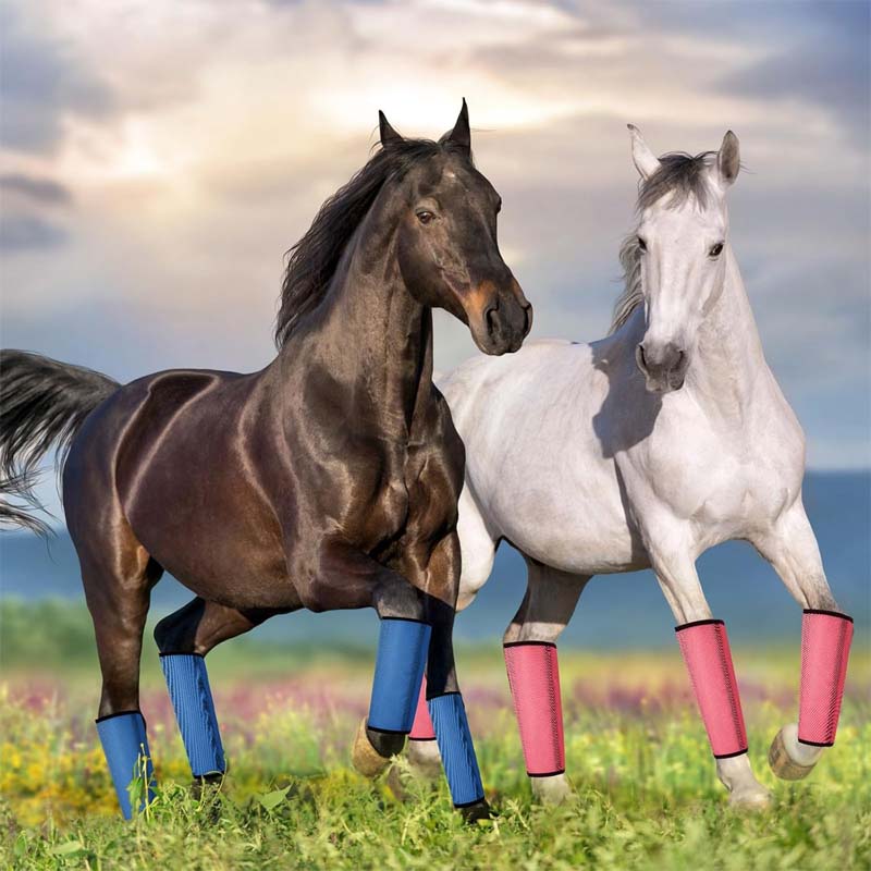 💎Envío gratis⏳Malla transpirable Horse Flyproof Leggings🐎✨