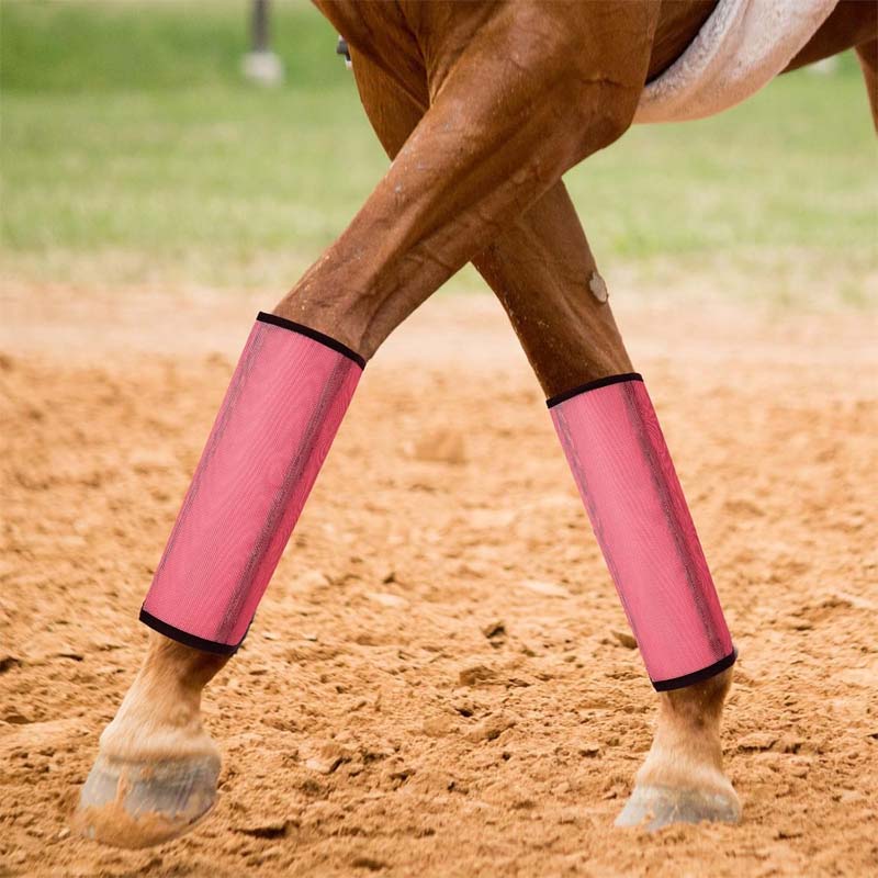 💎Envío gratis⏳Malla transpirable Horse Flyproof Leggings🐎✨