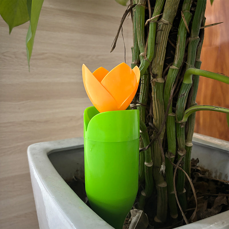 🌷Drypvanding til Tulipanplanter