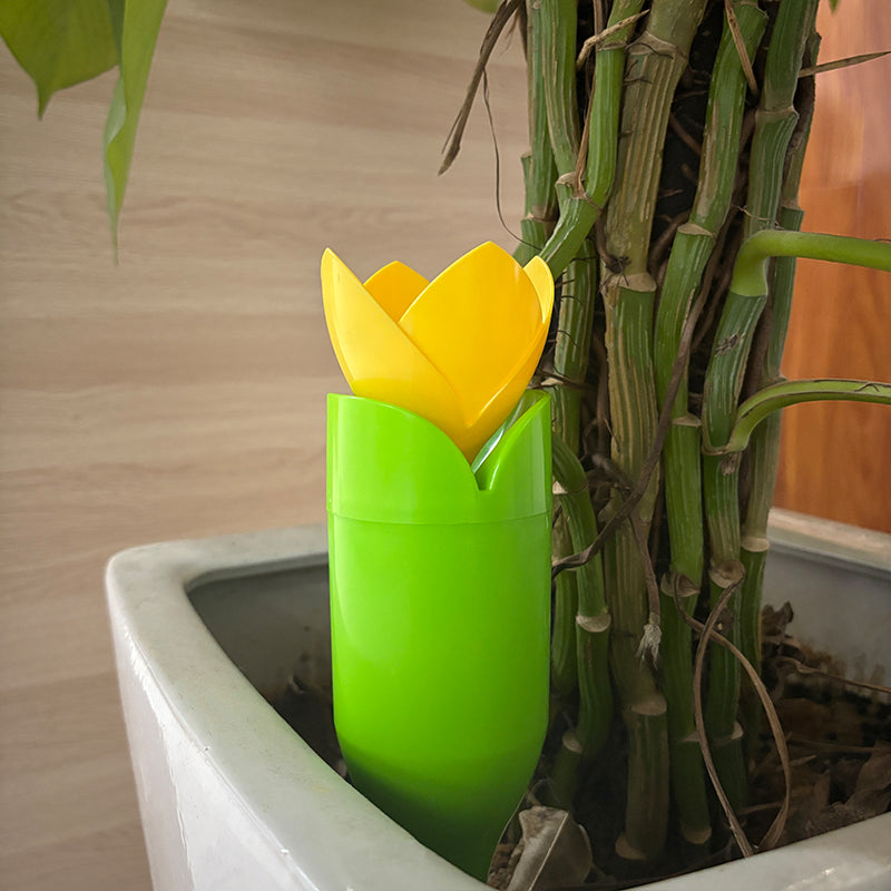 🌷Drypvanding til Tulipanplanter