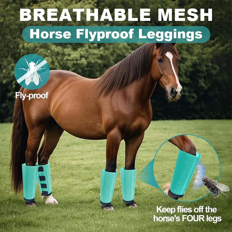 💎Envío gratis⏳Malla transpirable Horse Flyproof Leggings🐎✨