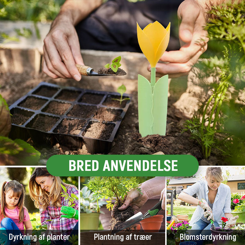 🌷Drypvanding til Tulipanplanter