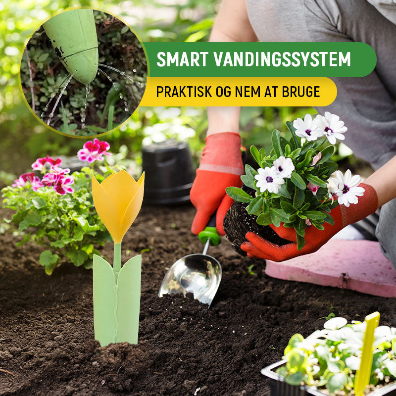 🌷Drypvanding til Tulipanplanter