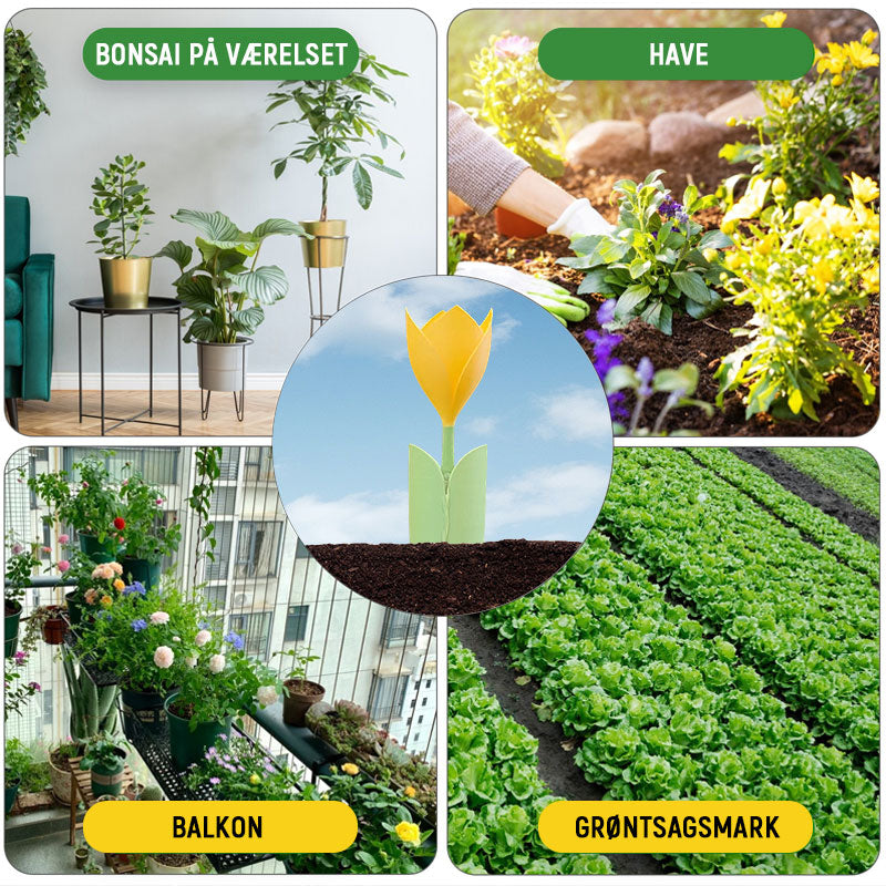 🌷Drypvanding til Tulipanplanter